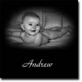 andrew