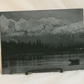 moose2