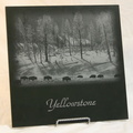 yellowstone2