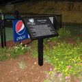 Miracle League03