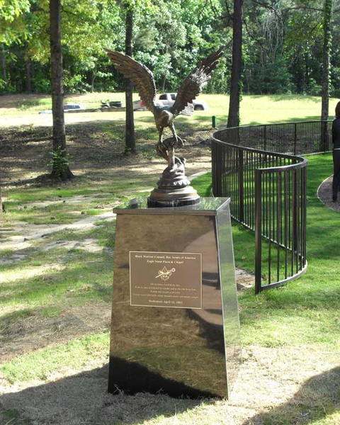 eagle-scout-100-year-memorial-15