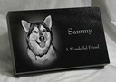 Sammy-9x14x2-SS