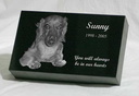Sunny-6x10x2-SS