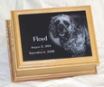 Floyd