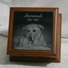 Savannah