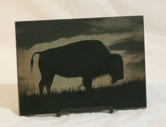 buffalo2.jpg