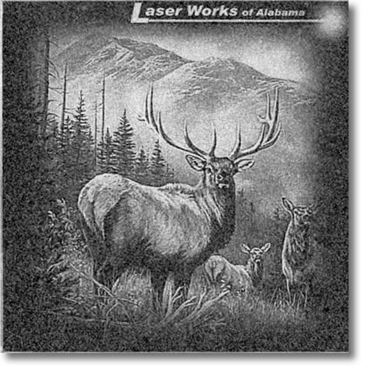 deerG.jpg